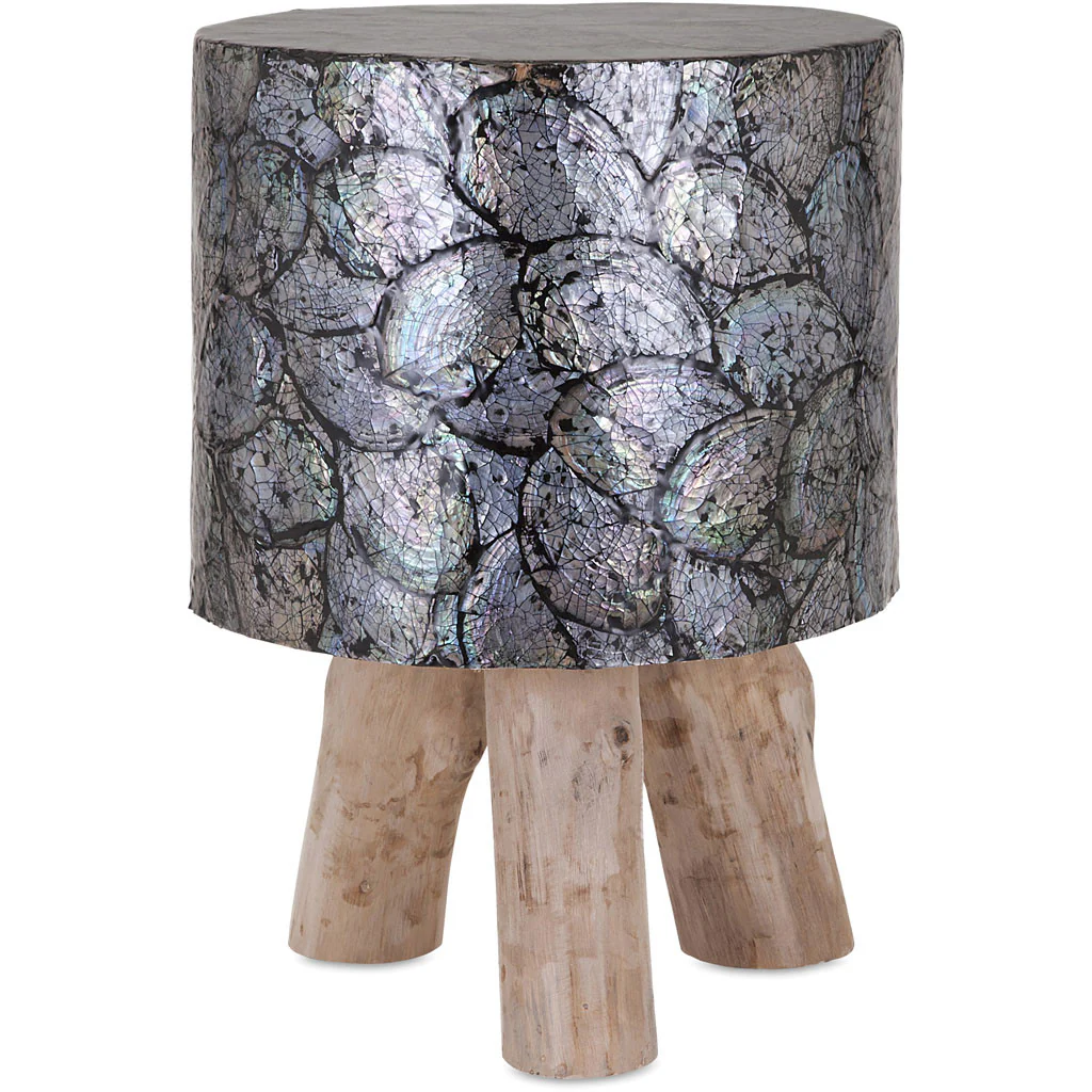 Echo Shell and Teak Wood Stool