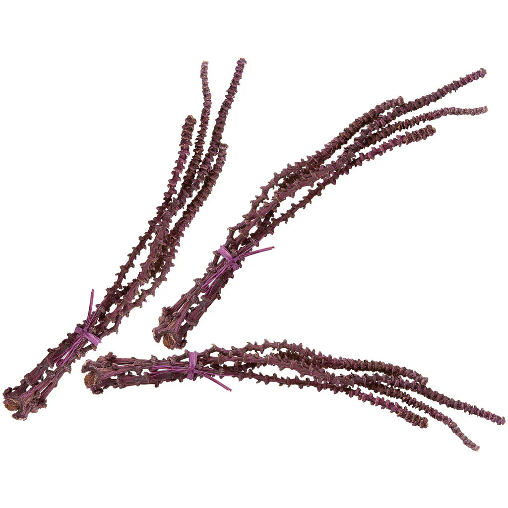 Oxblood Banana Stem Bunch (Set of 3)