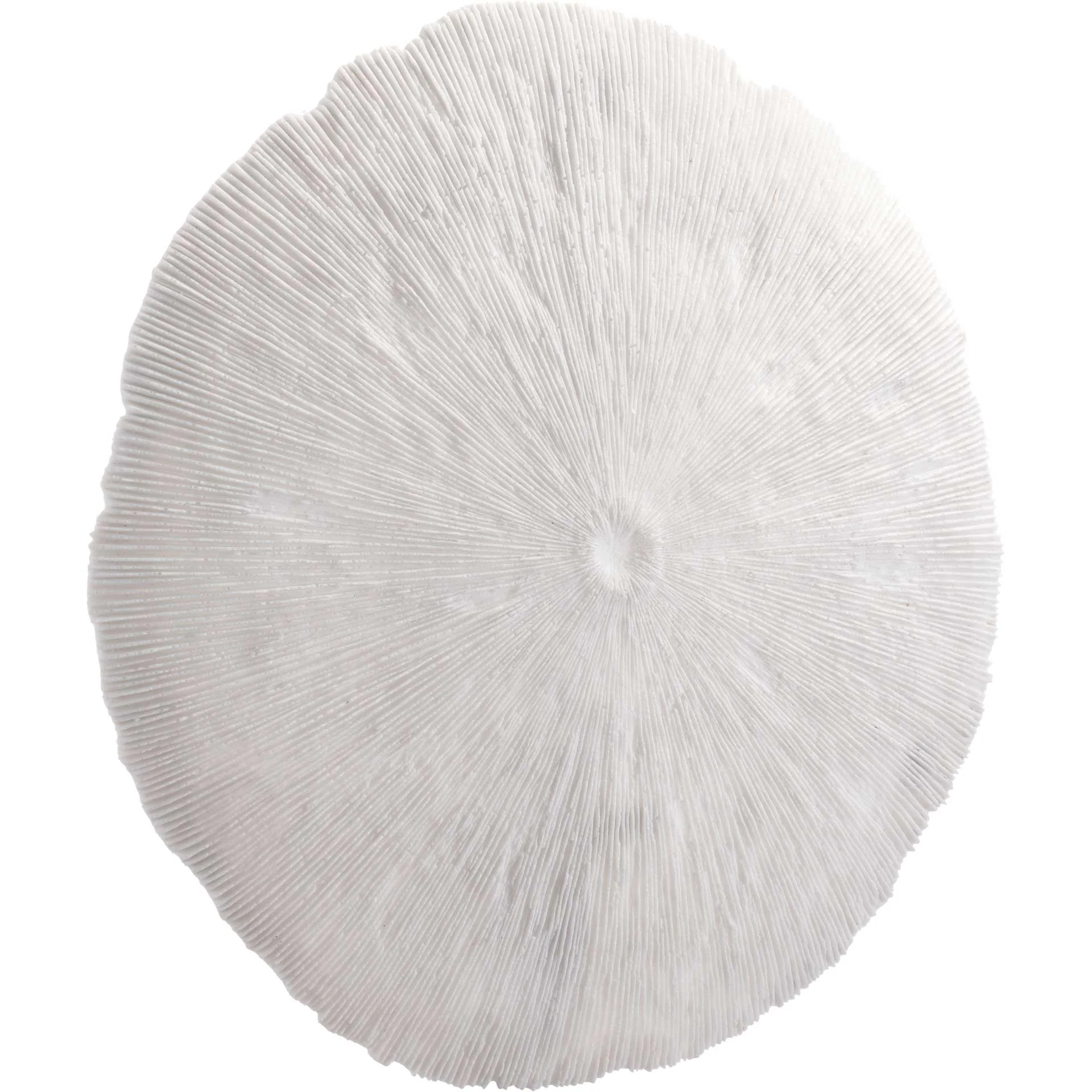Round Coral Plaque White